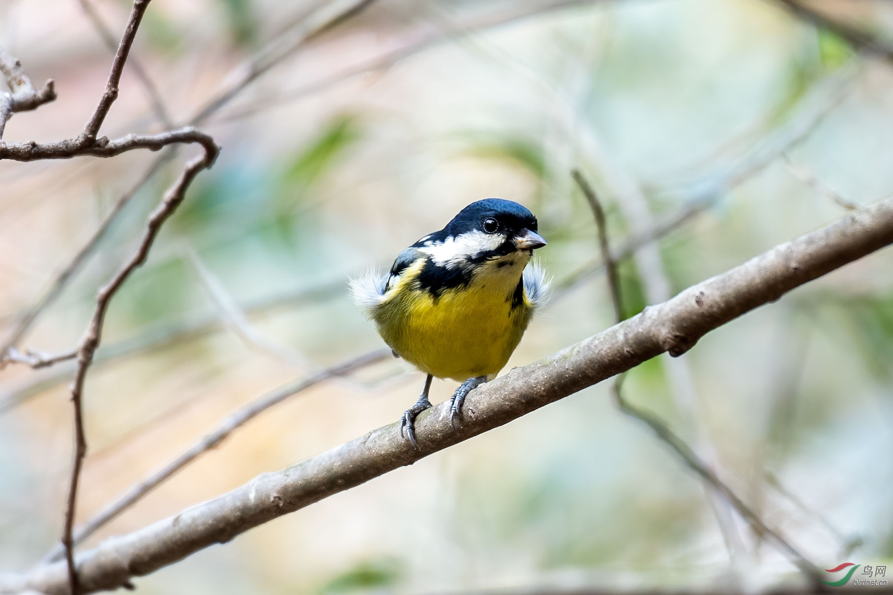 DSC_8460.jpg