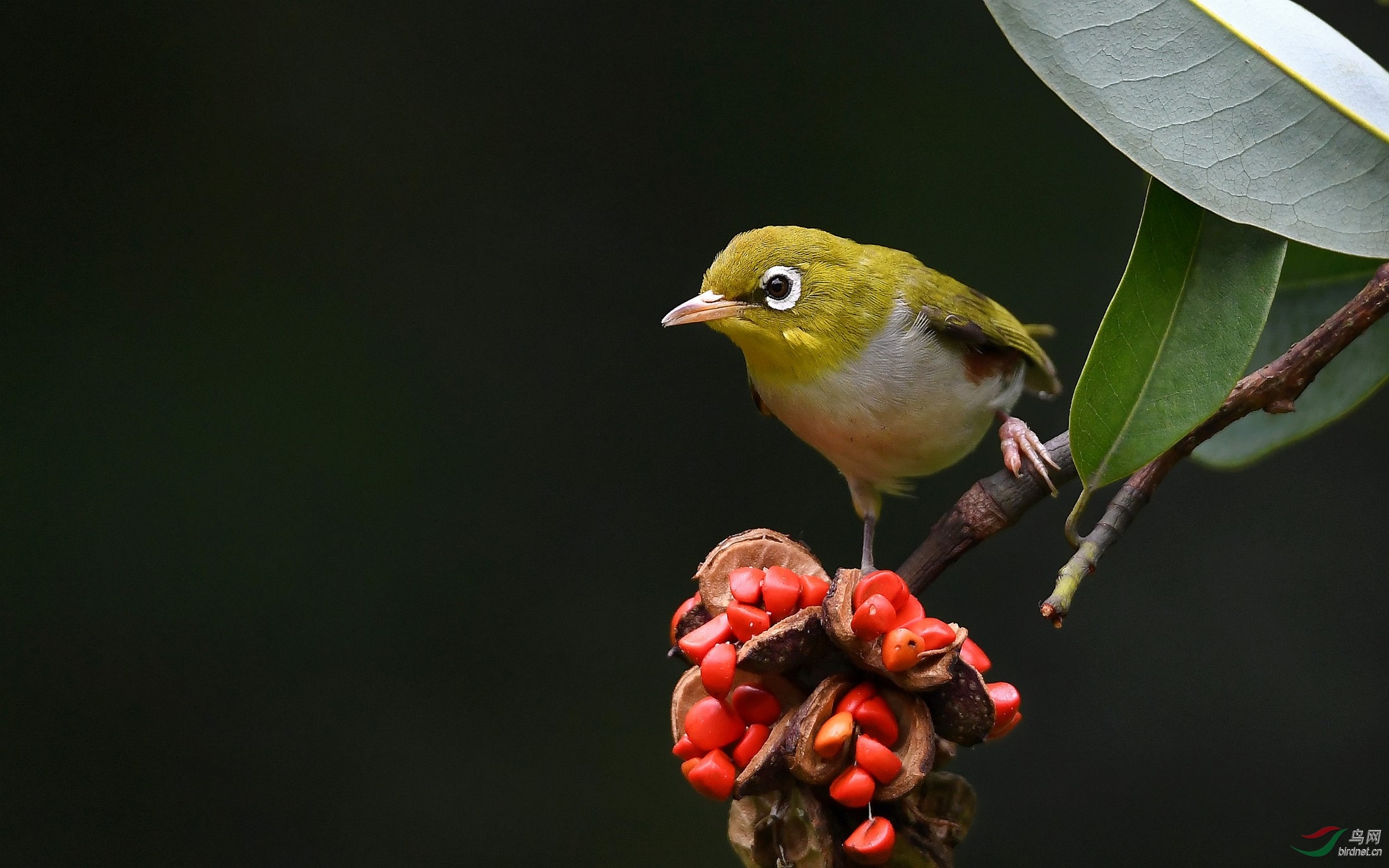 DSC_0589_����_DxO (����).jpg