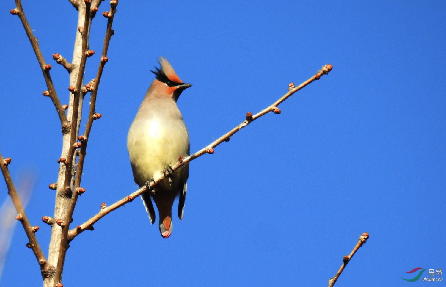 DSCN9222.JPG