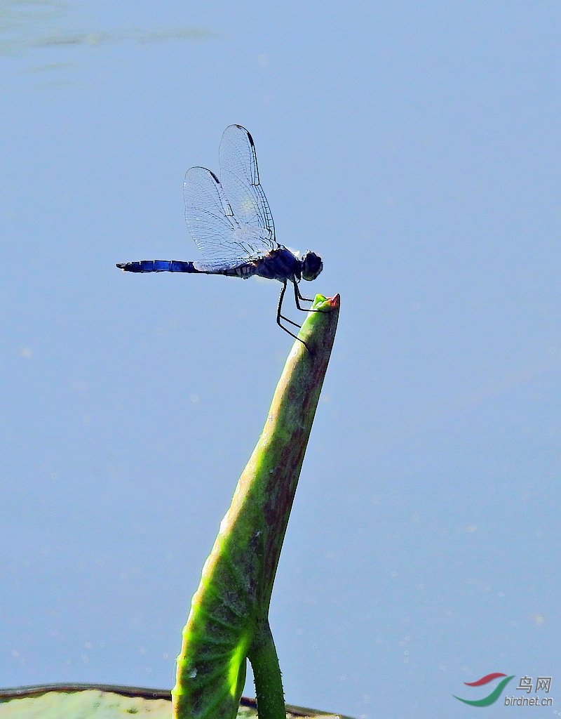DSCN9264.JPG