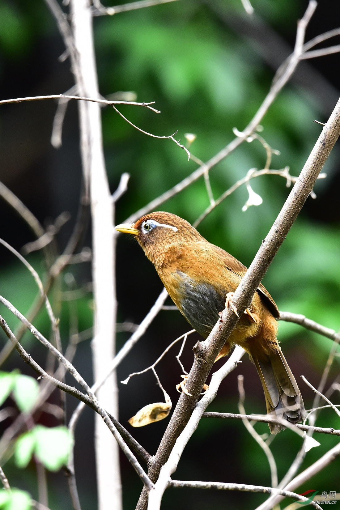 DSC_0356.JPG