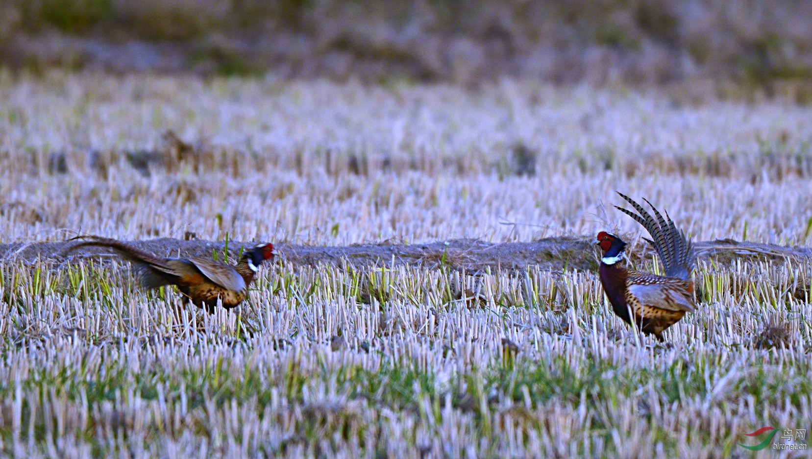 DSC_5944.jpg