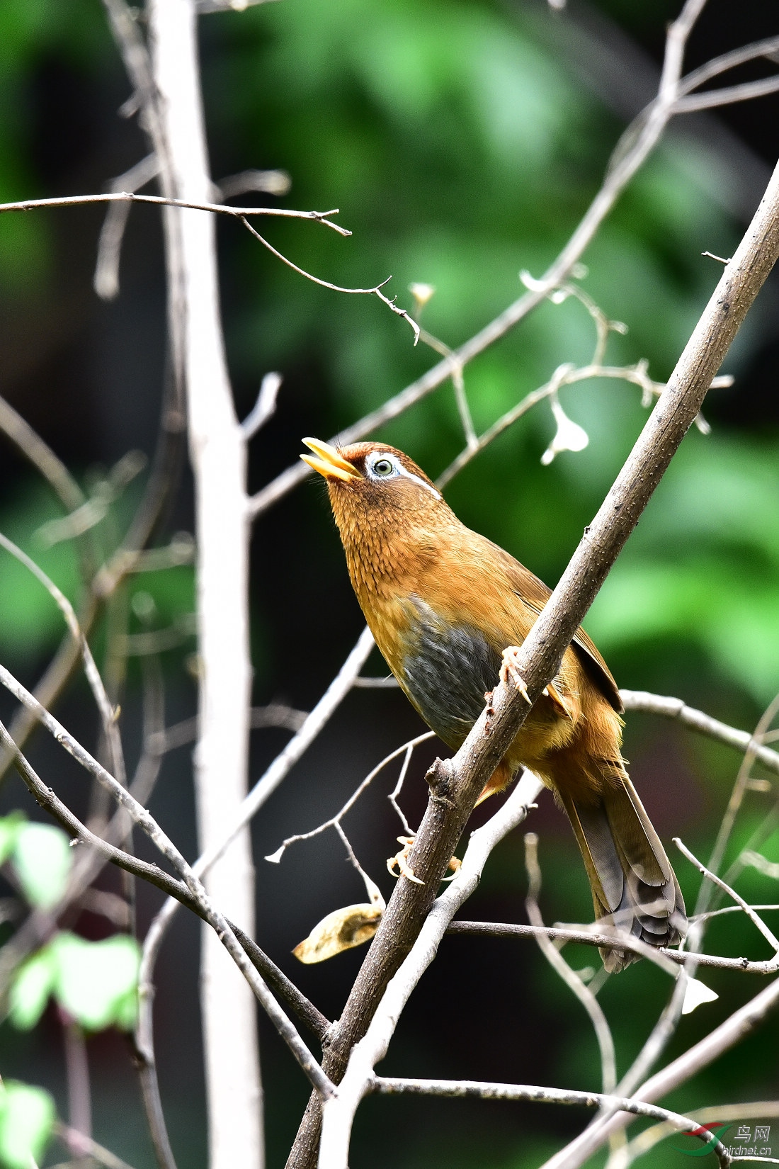 DSC_0357.JPG