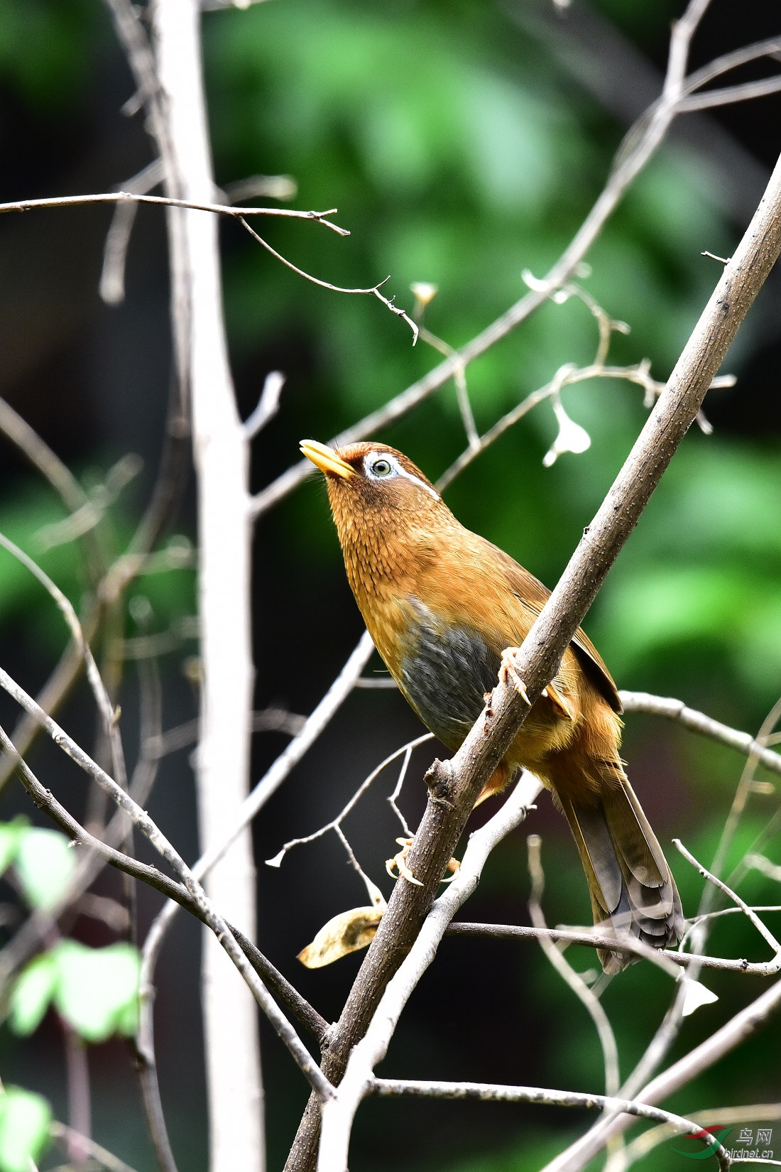 DSC_0358.JPG