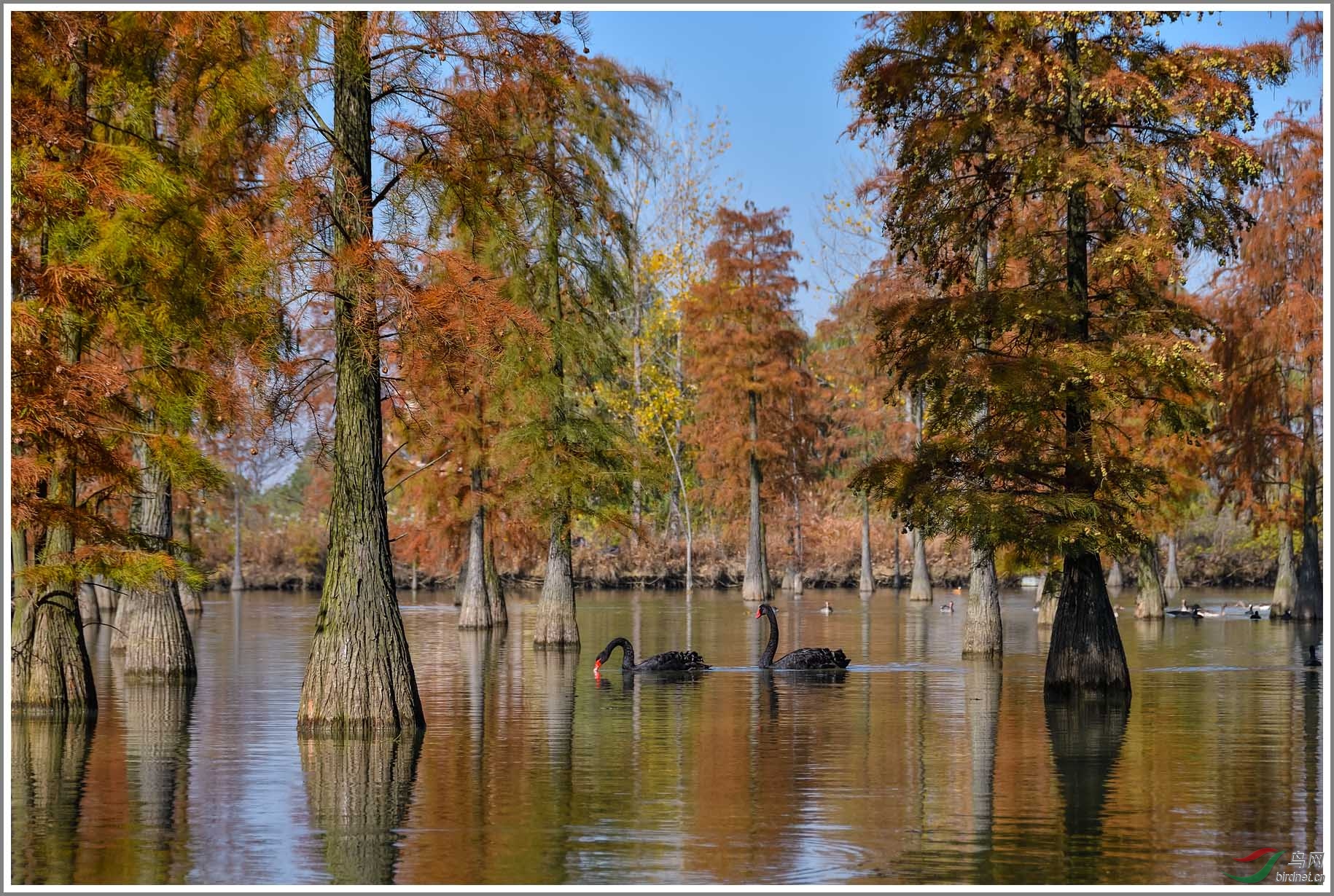 ��20191115(153)��Ϊ���ܶ���-1 1800.jpg