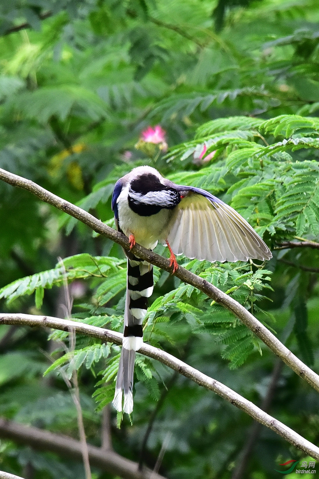DSC_0780.JPG
