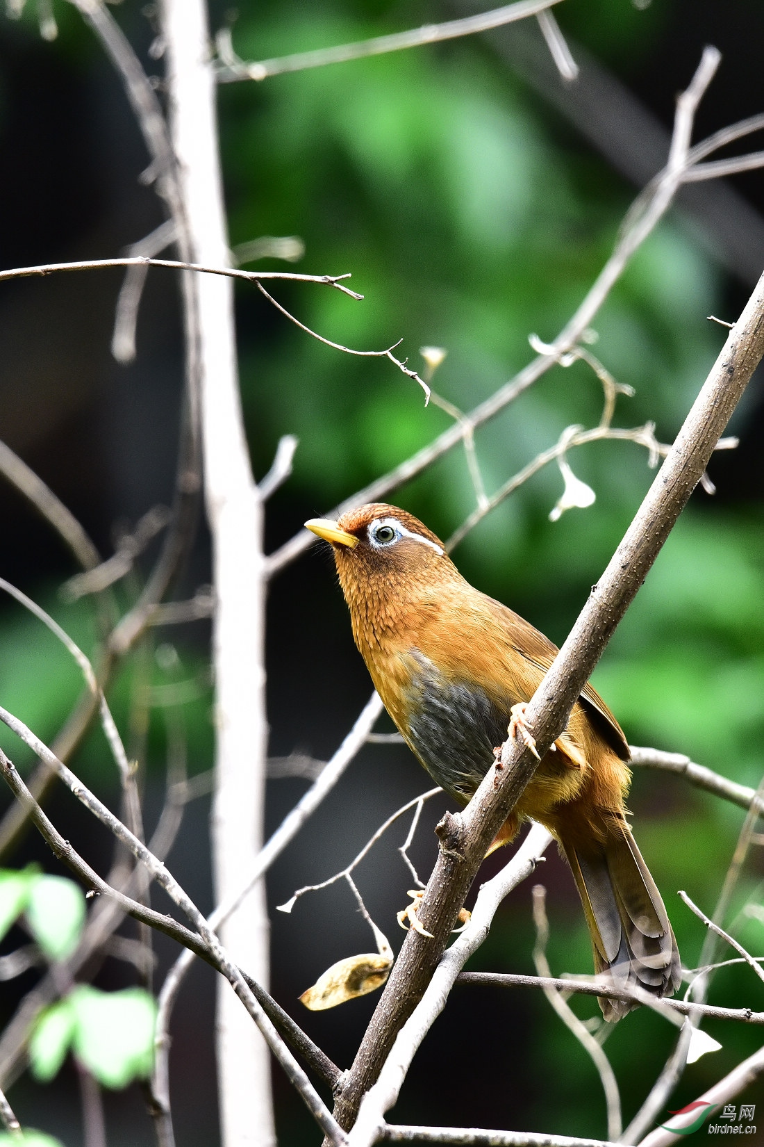 DSC_0362.JPG
