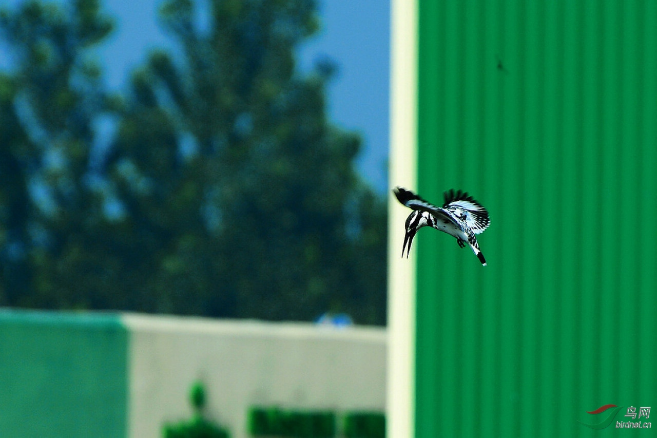 2DSC_6511.JPG