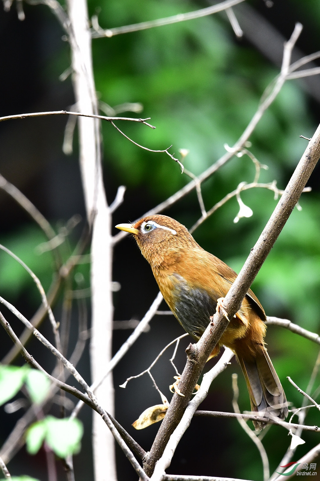 DSC_0364.JPG
