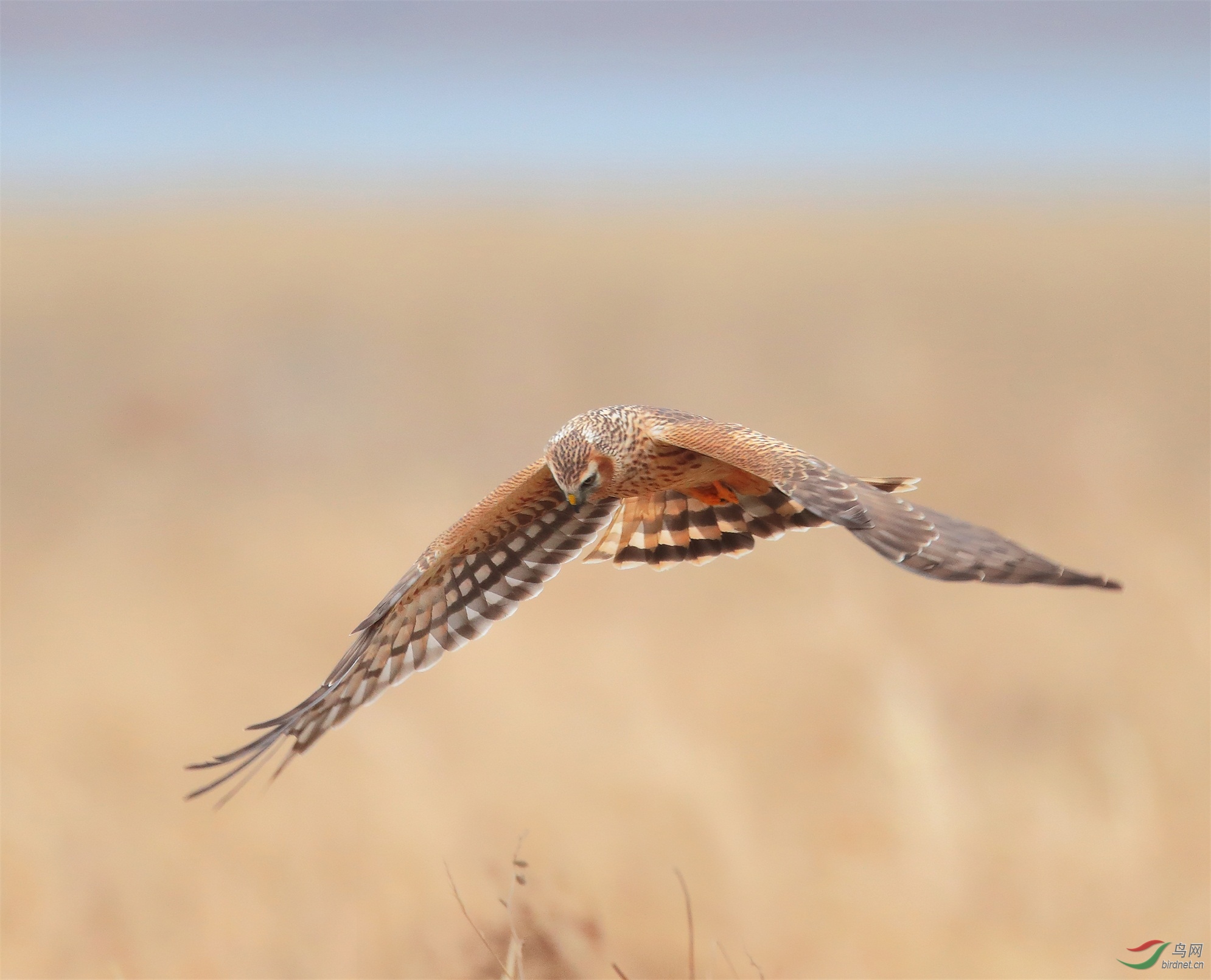 4 - ����.JPG