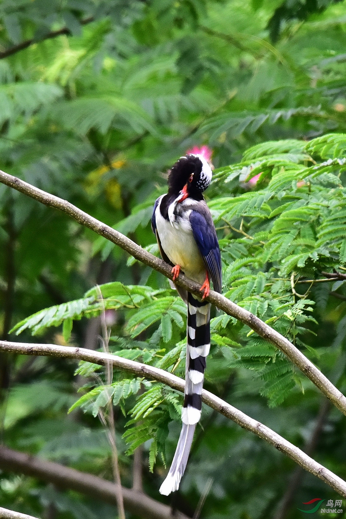 DSC_0786.JPG