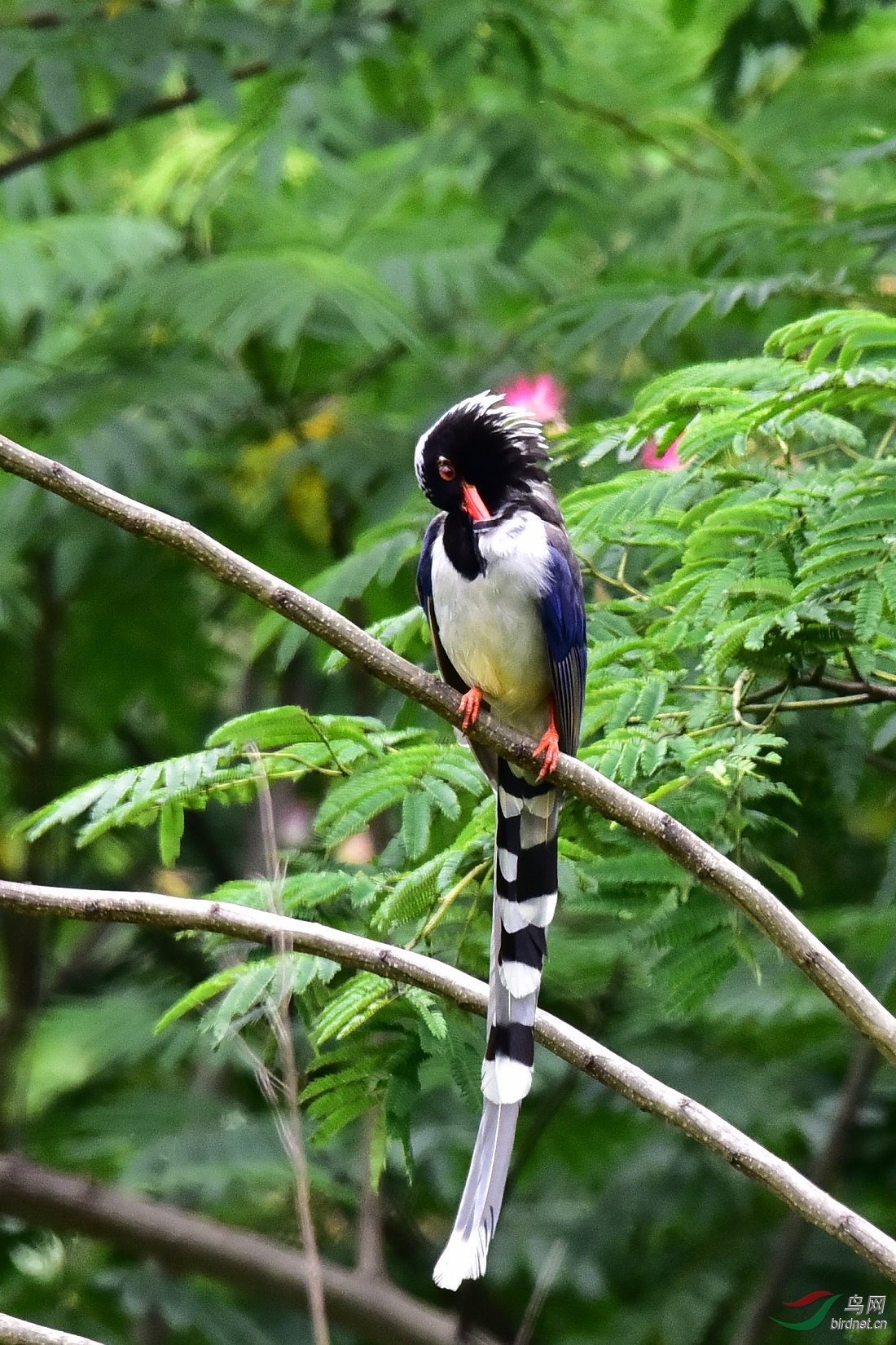 DSC_0787.JPG
