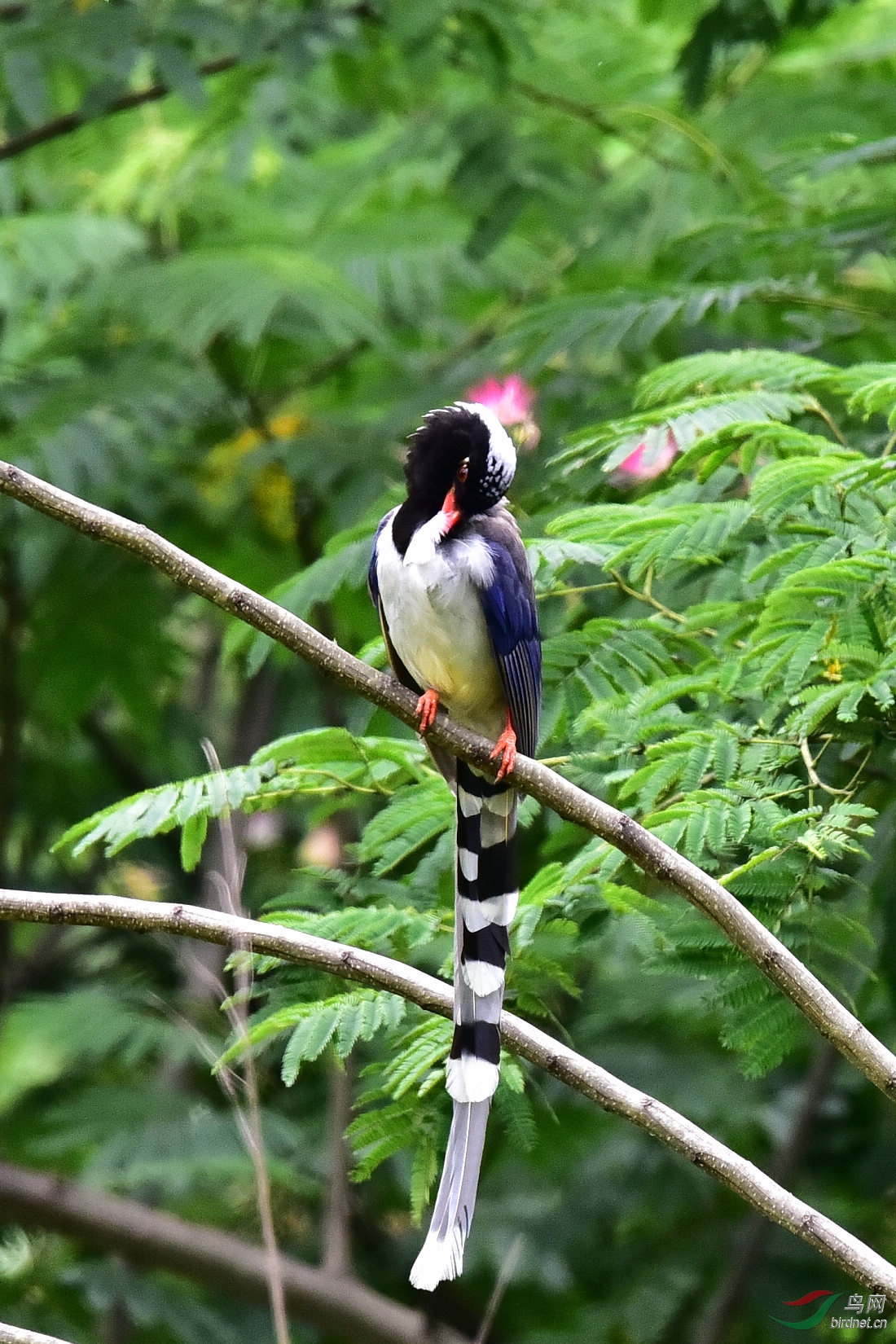 DSC_0789.JPG