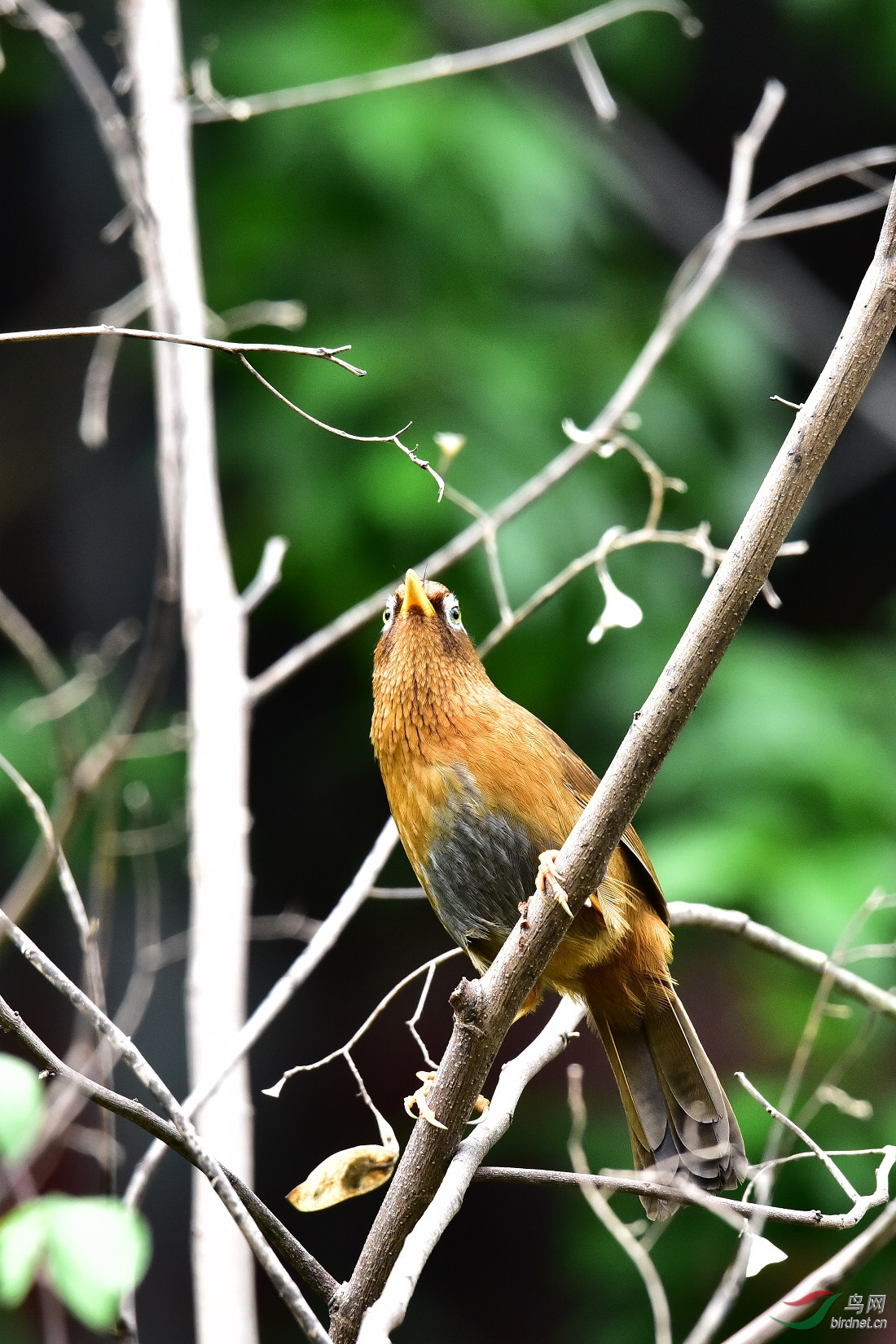 DSC_0370.JPG