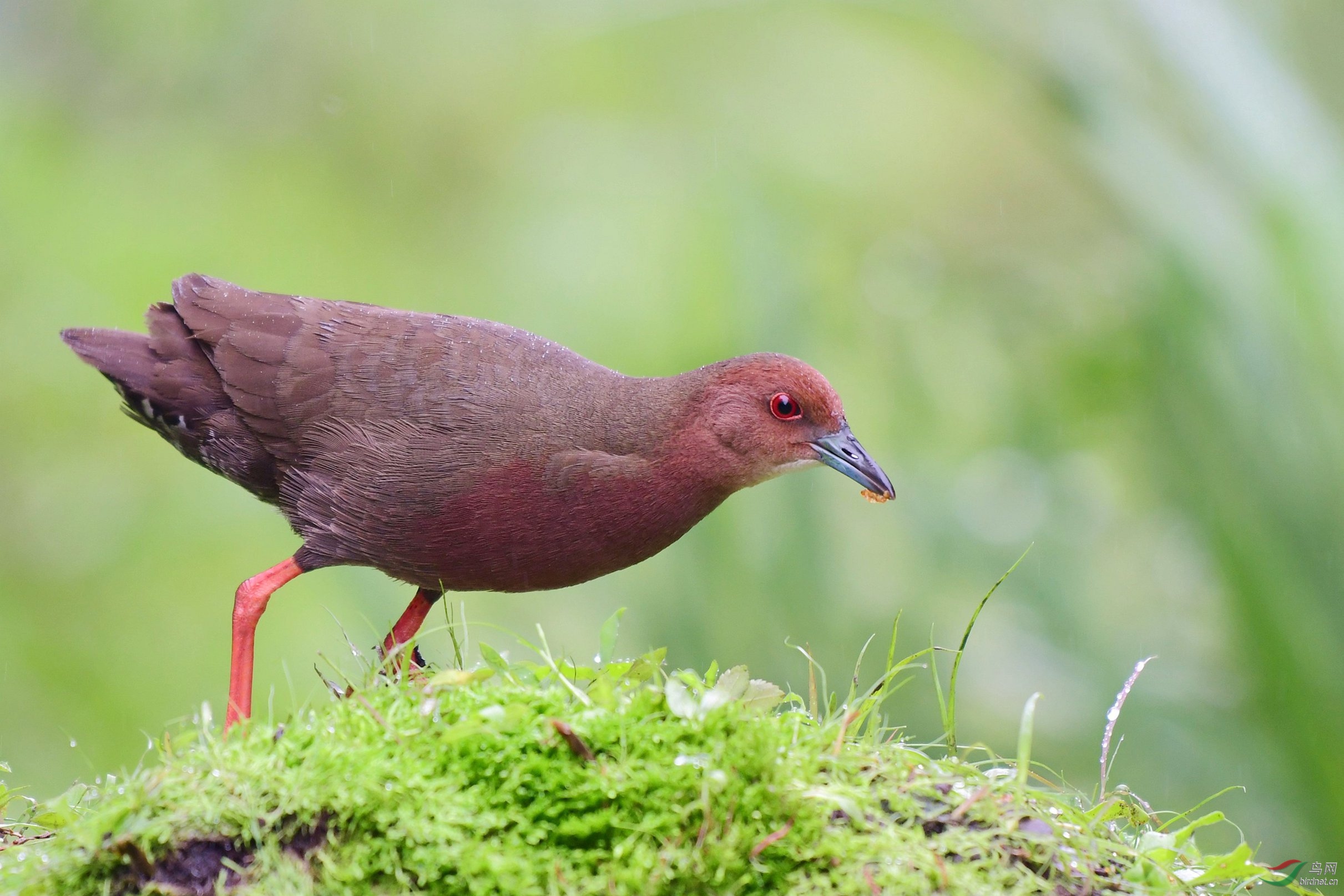 �����Ｆ 011.JPG