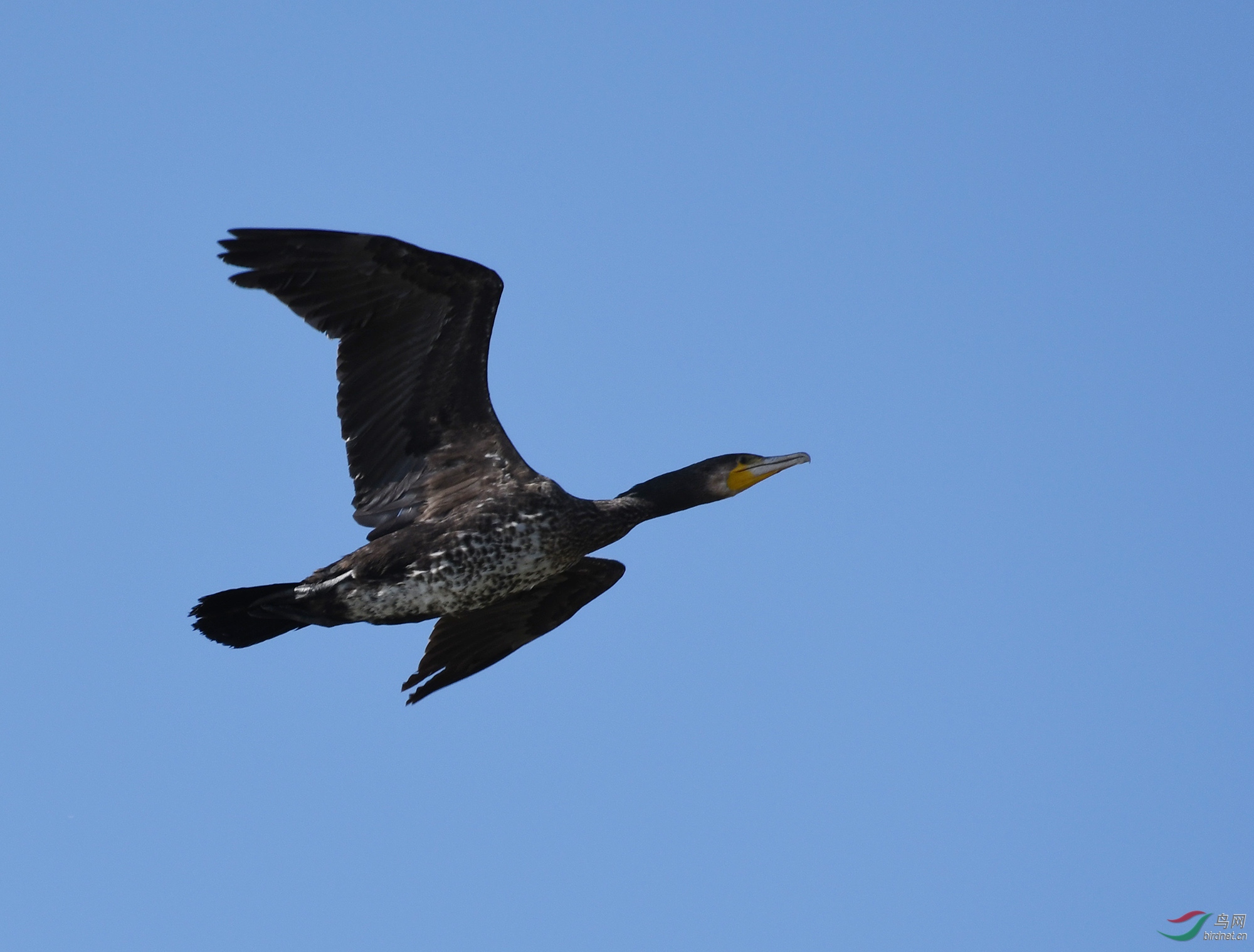 ������Ӱ 2543����.jpg