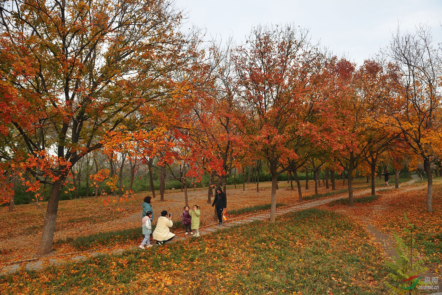 _D8A9529_13425a.jpg