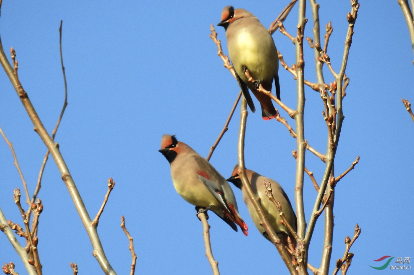 DSCN9539.JPG