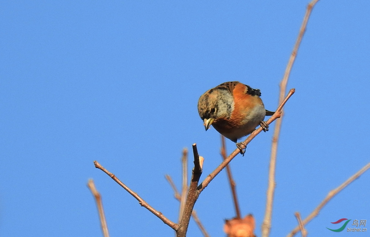 DSCN9170.JPG