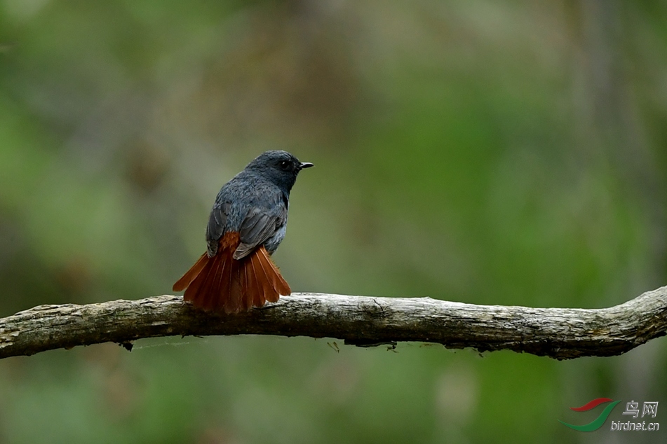 DSC_4982.jpg