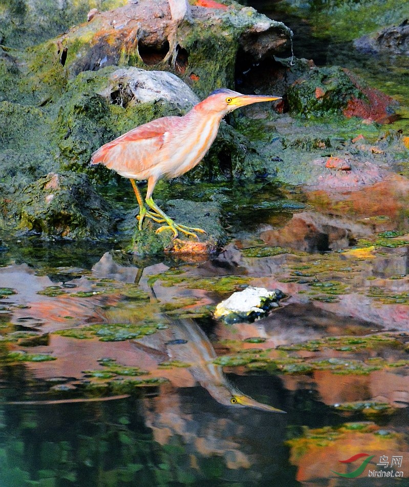 DSC_6372.JPG