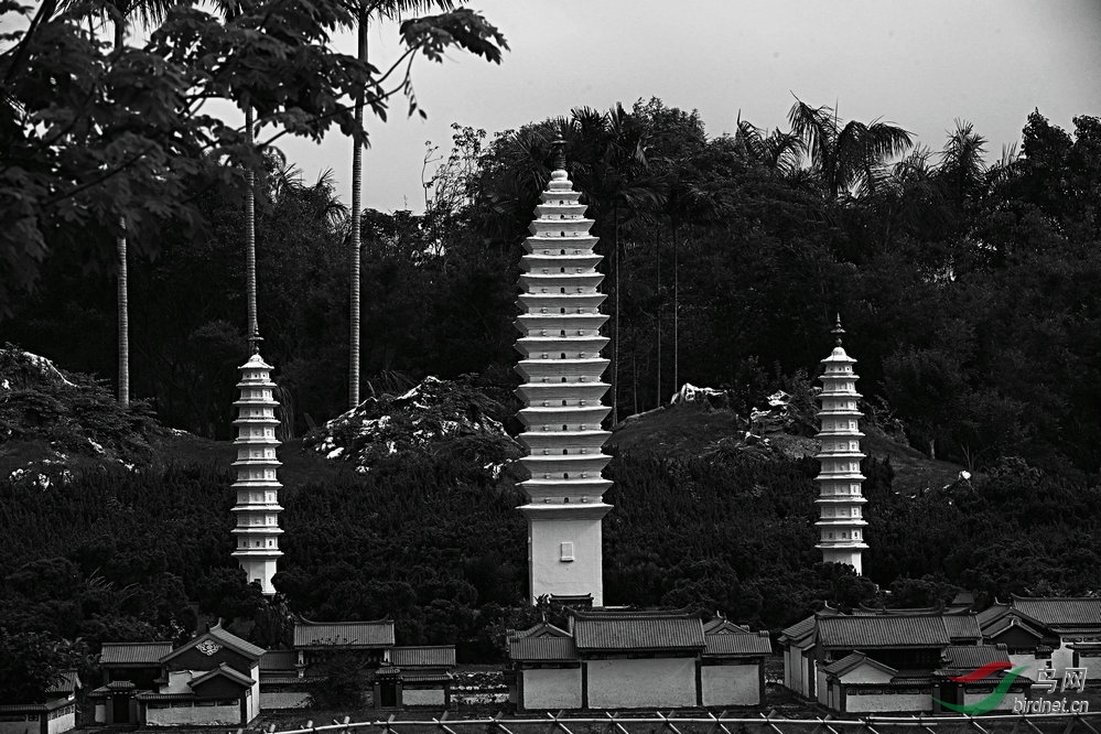 BW6I1114_����_����1_����.jpg