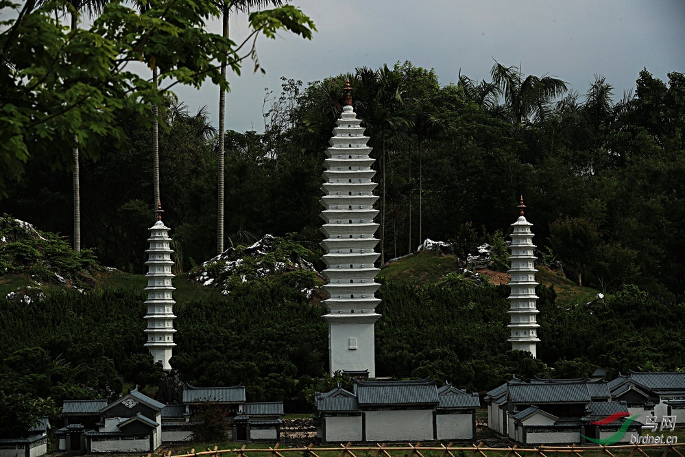 BW6I1114_����_����.jpg