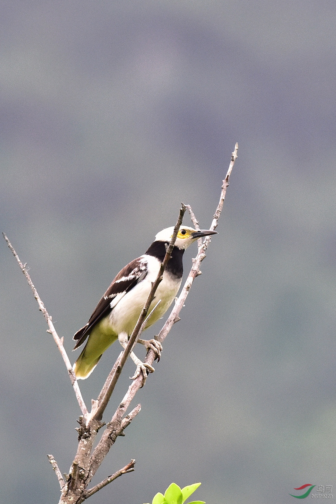 DSC_0375.JPG