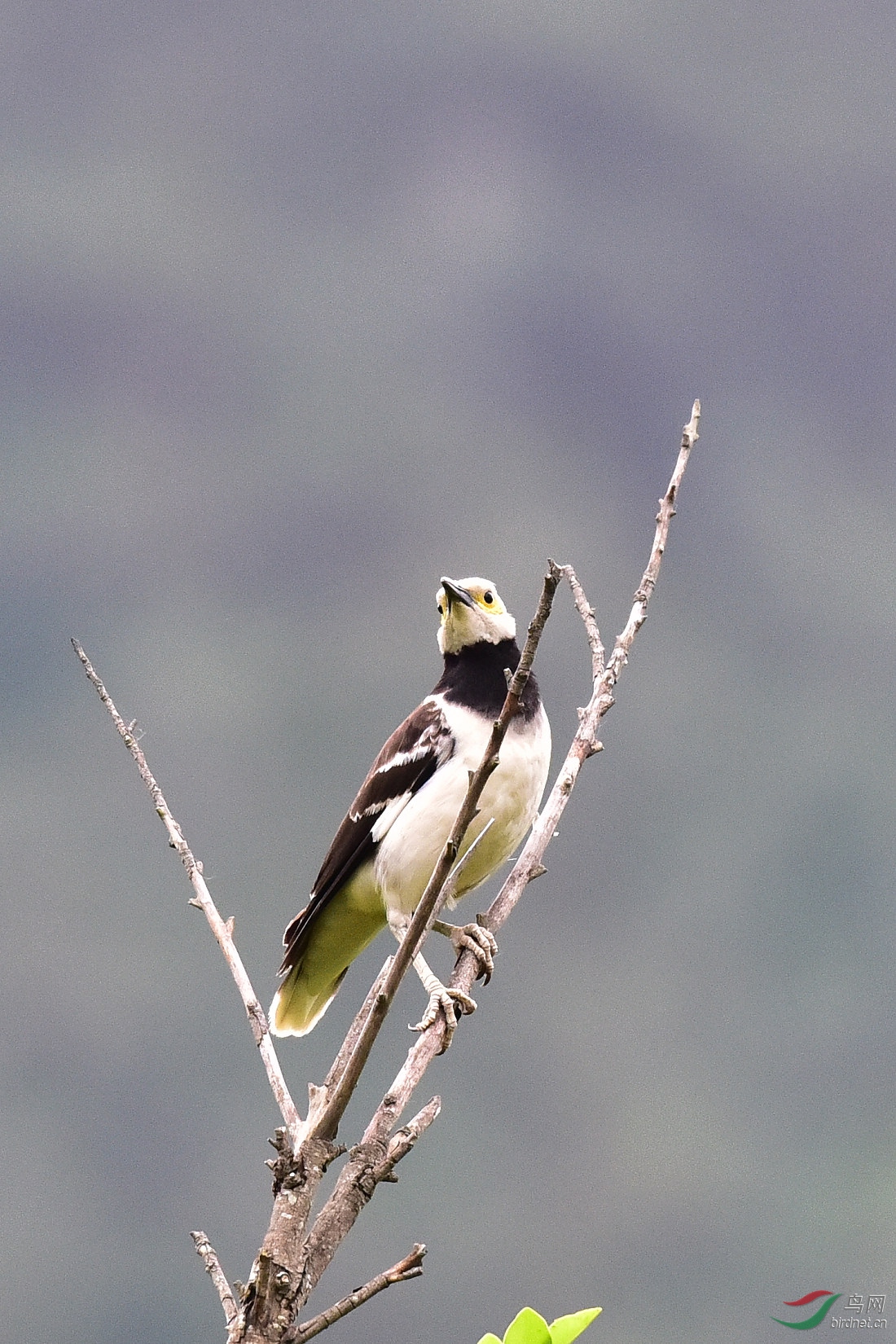 DSC_0376.JPG