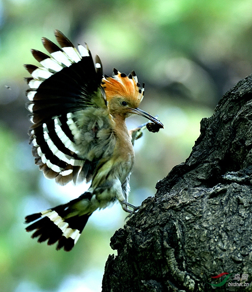 DSC_7256_00001_00001_00001_����.jpg