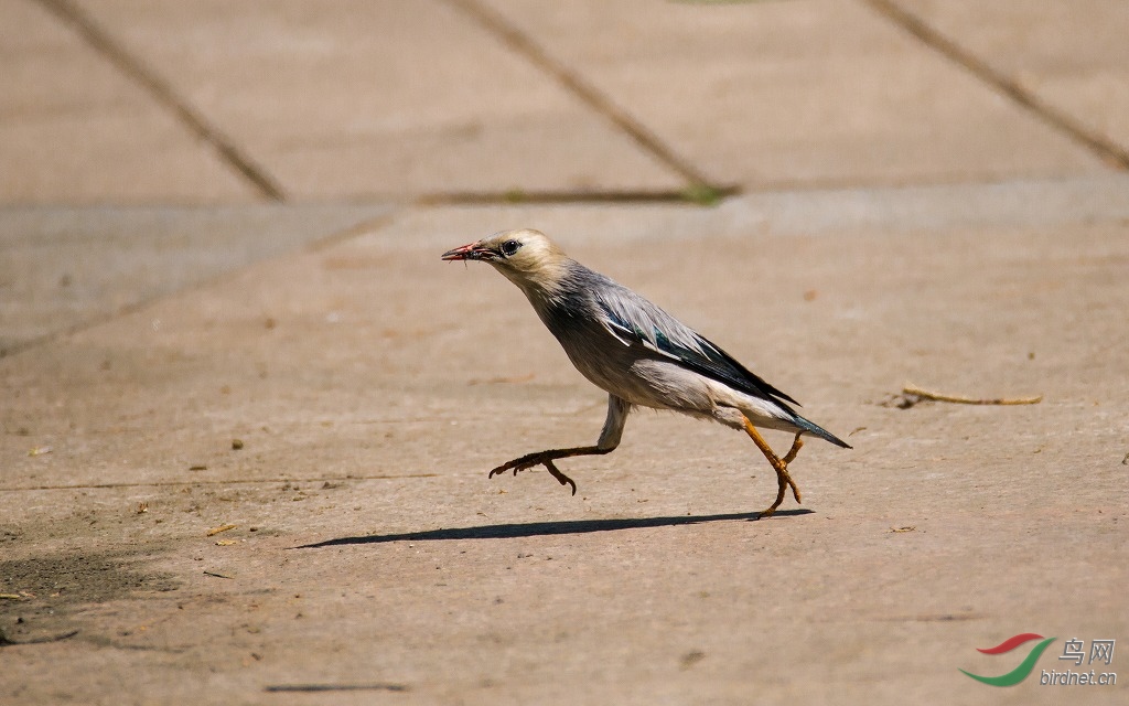 DSC_6211.jpg