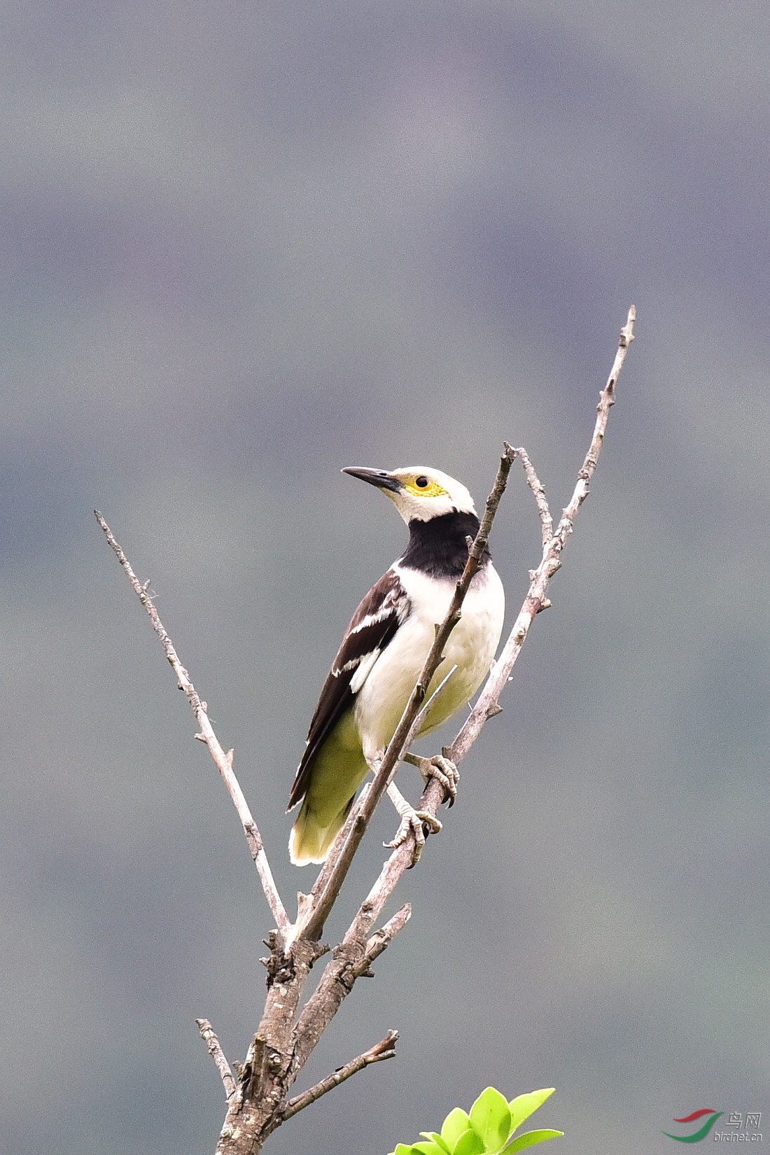 DSC_0377.JPG