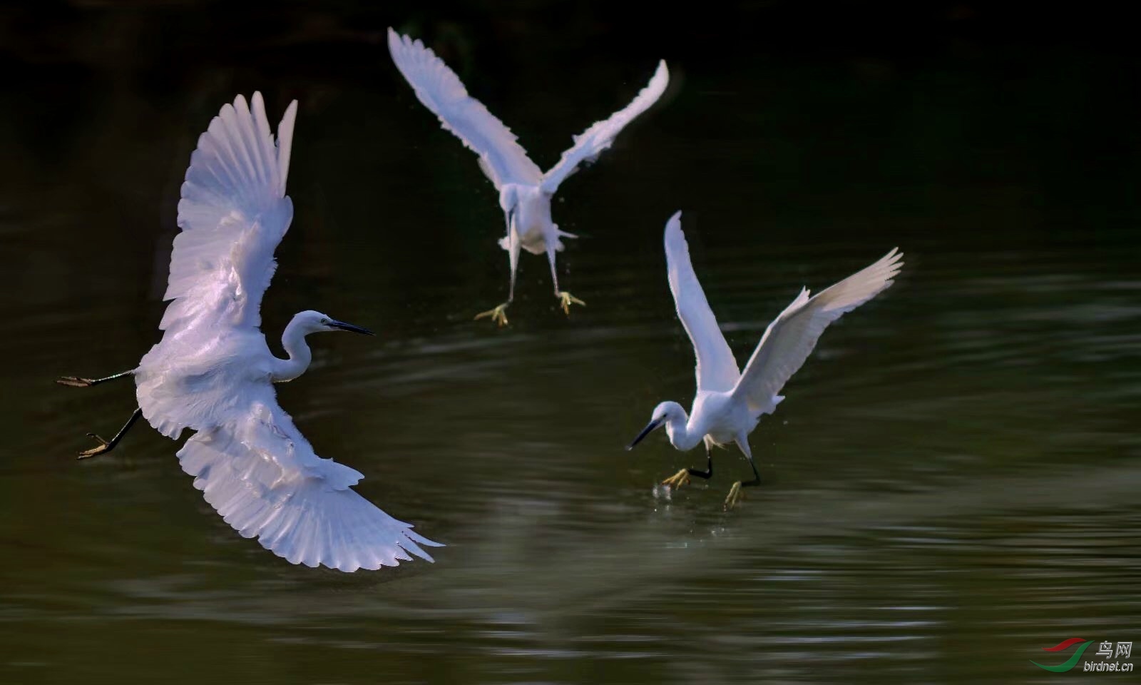 9A877895-ADC4-4D50-8055-AE87BB9BF4CC.jpeg