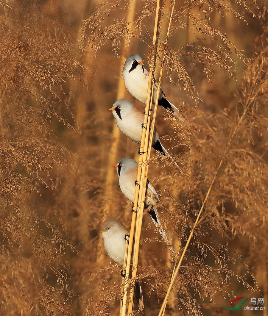 3 - ����.JPG
