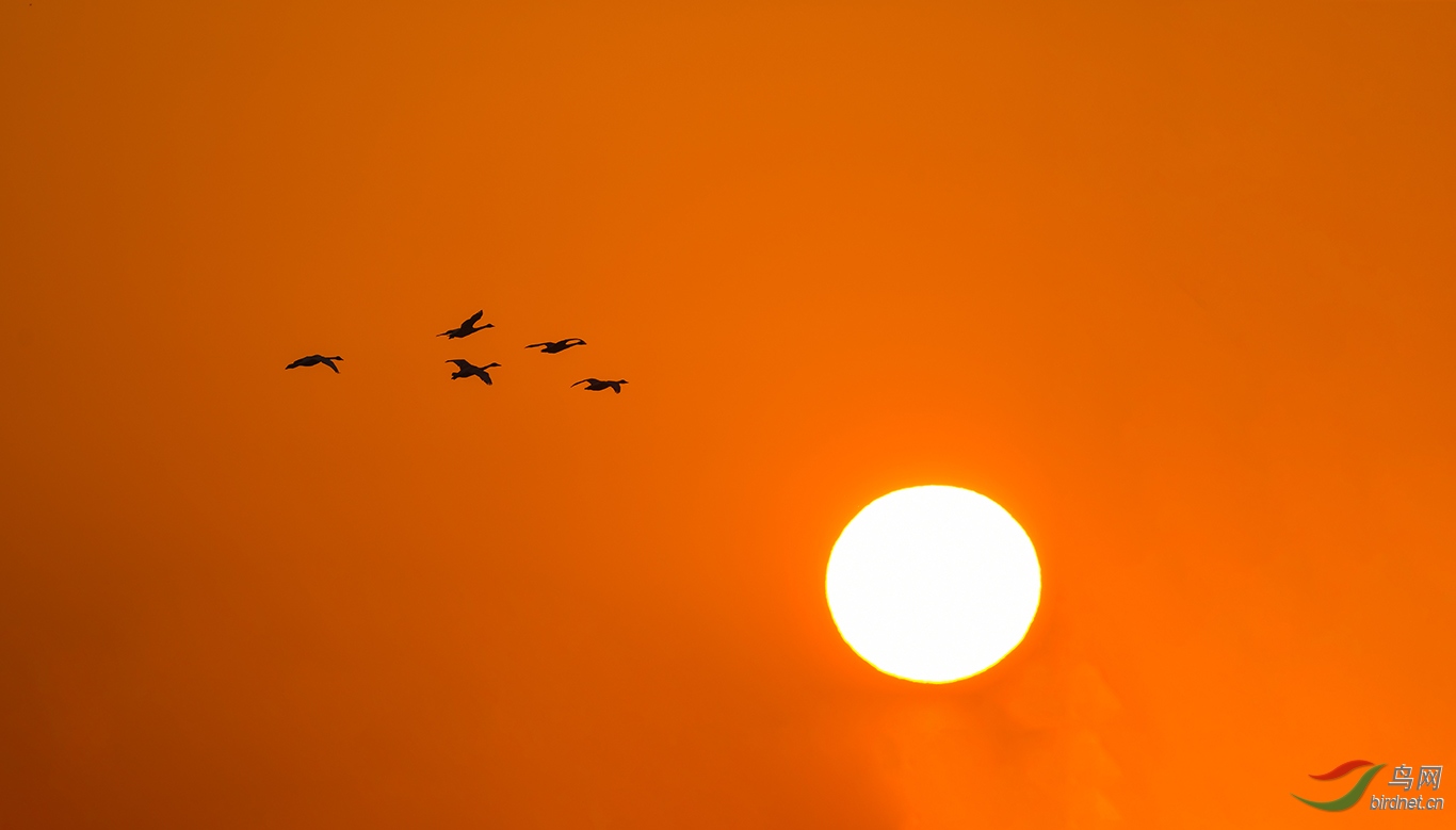 DSC_0977.JPG