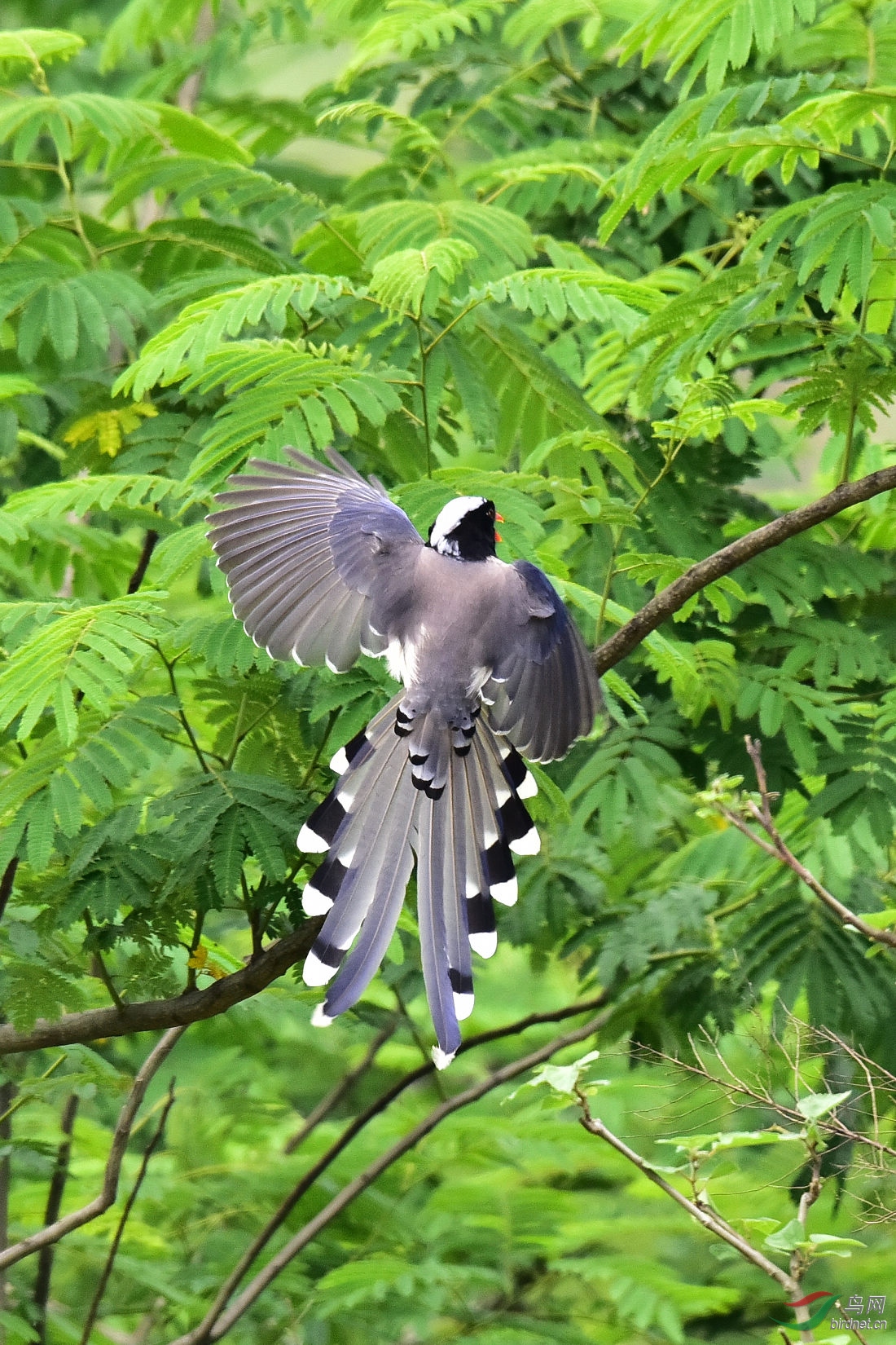 DSC_0799.JPG