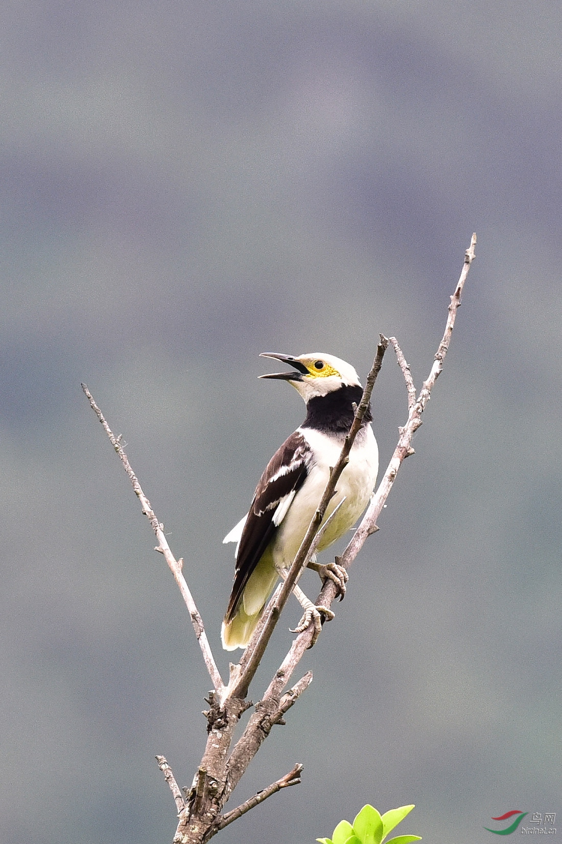 DSC_0379.JPG