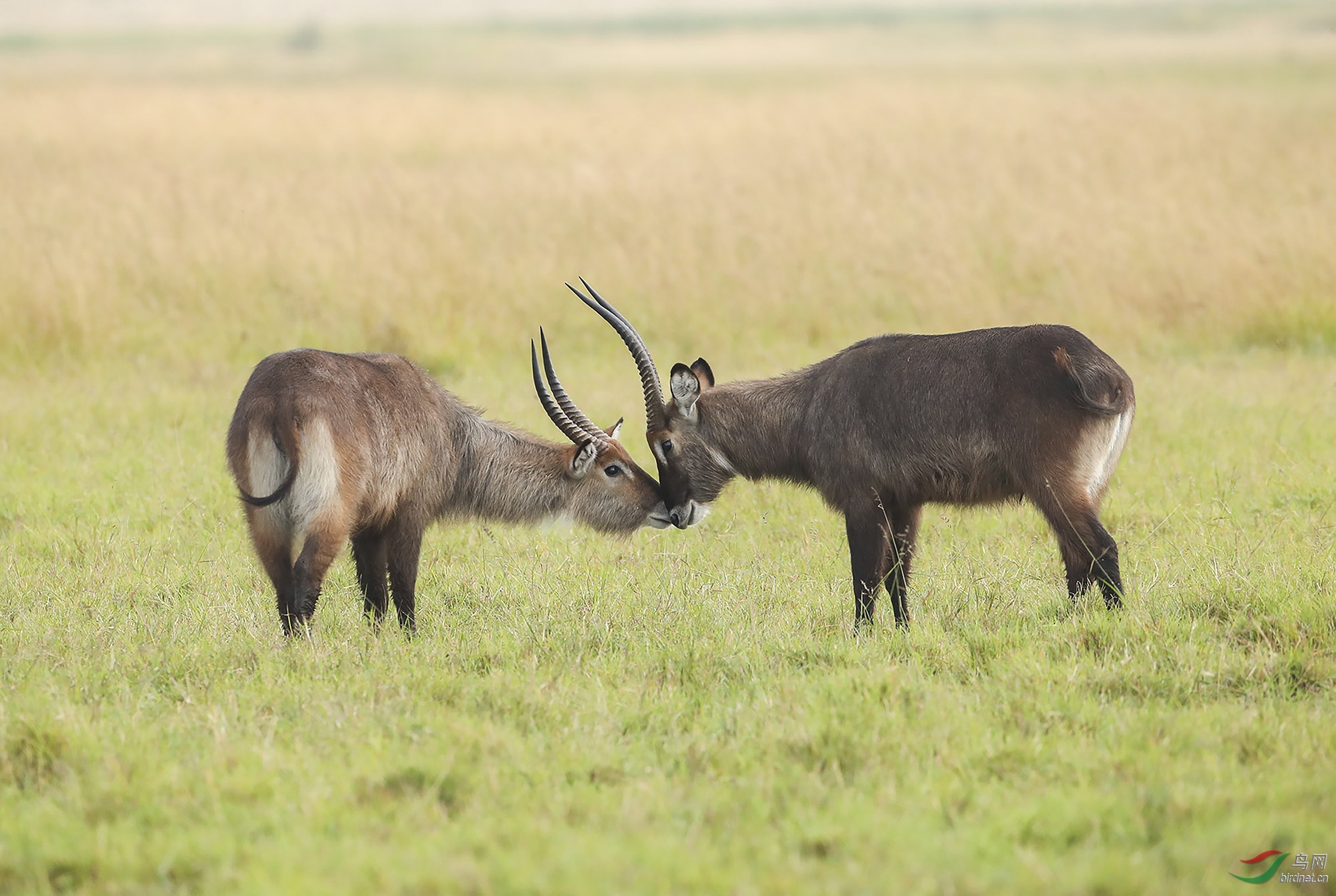 0003.�� -һ����.jpg