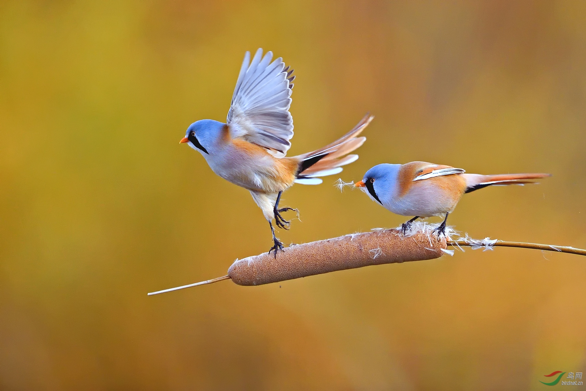 0019. 10668_«�����ϵ�����ȸ_��ʵҰ������.jpg