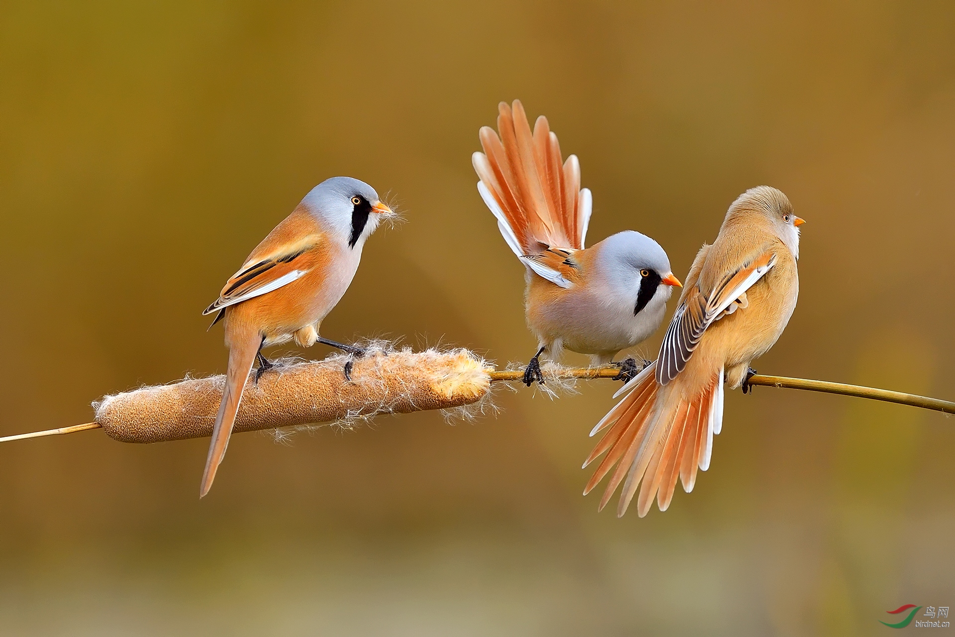 0020. 10669_����������ȸ_��ʵҰ������.jpg