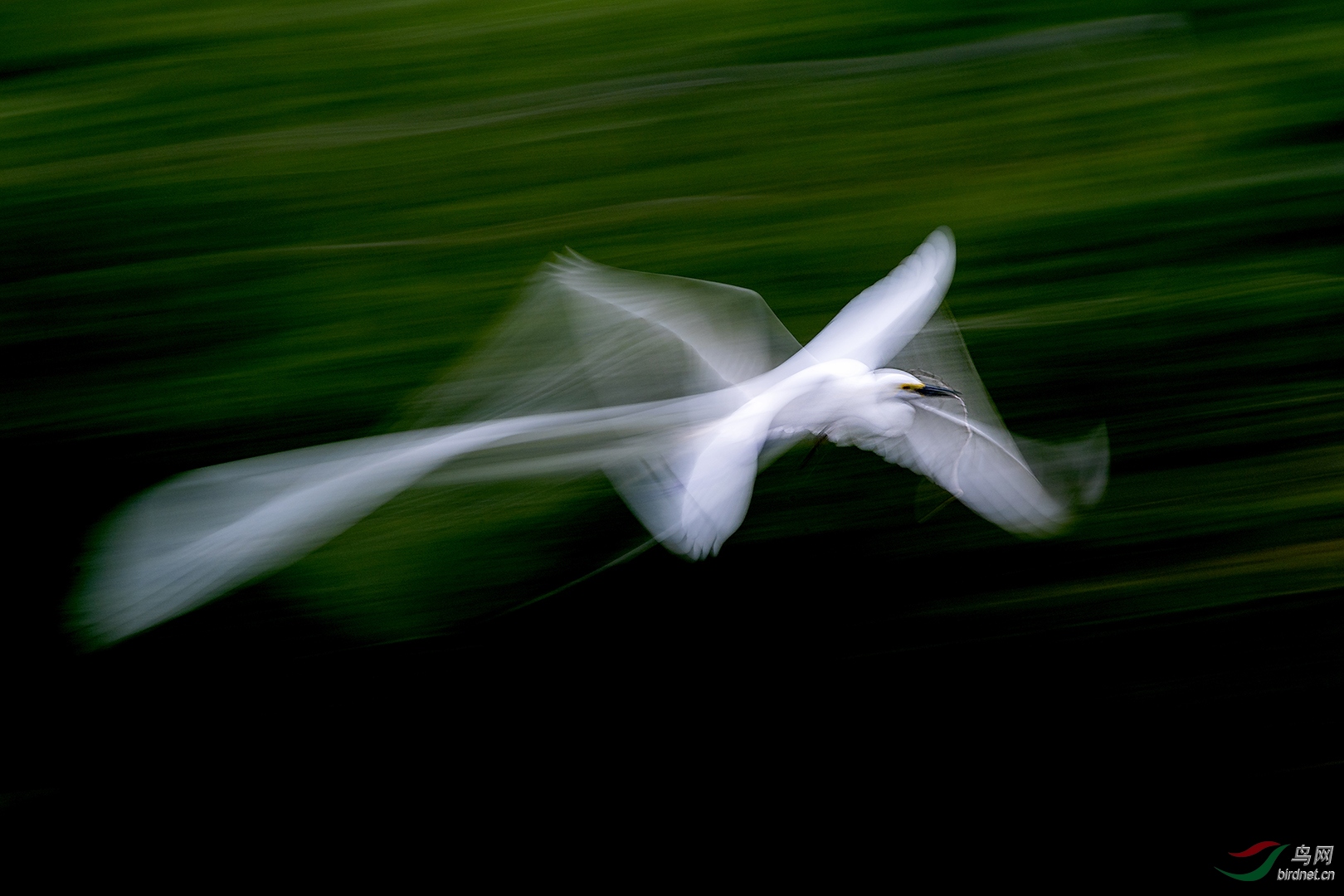 0030. 10698_�λ�_��ʵҰ������.jpg