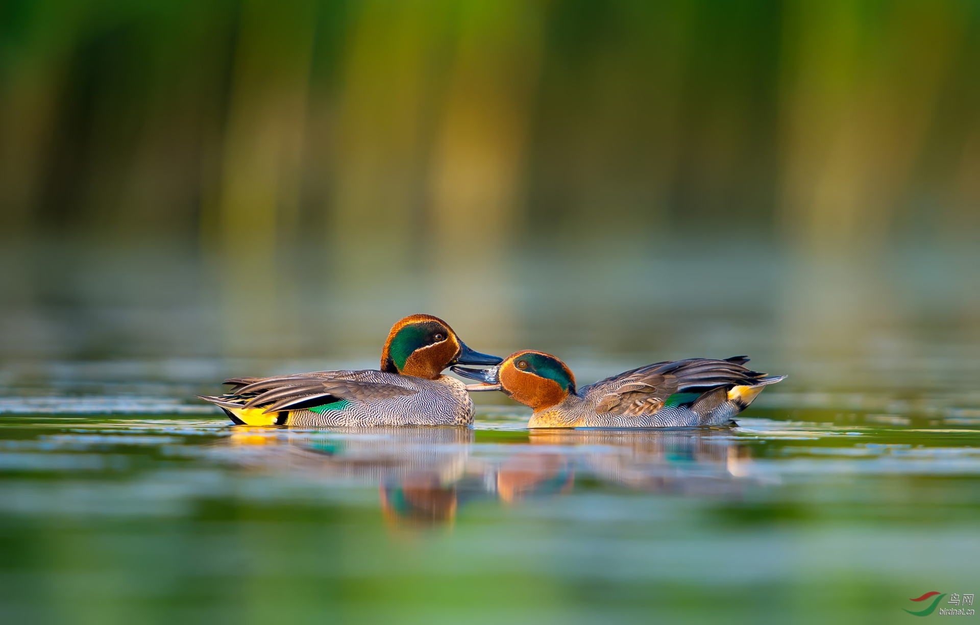 0086. 10808_����к�_������-��ʵҰ������.jpg