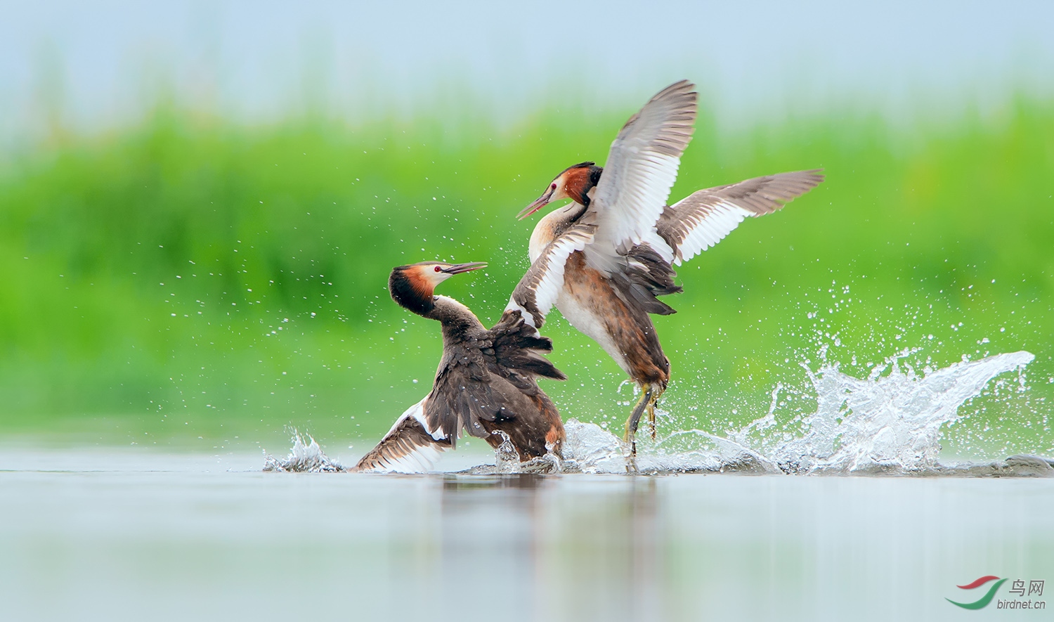 0102. 10841_Ϊ����ս_��ʵҰ������.jpg