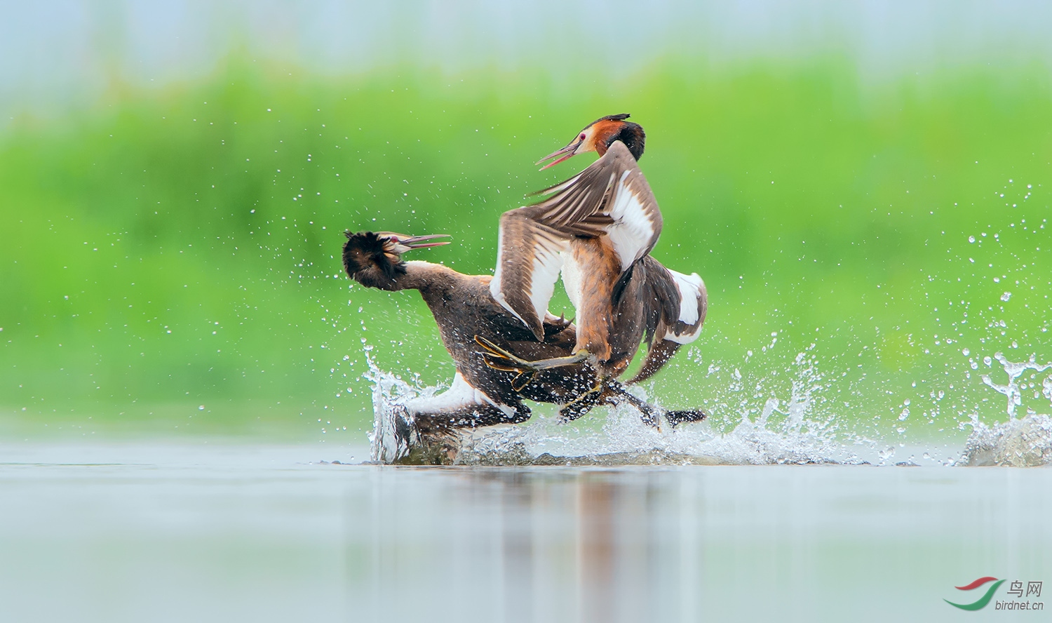 0103. 10842_�ѽ��ѷ�_��ʵҰ������.jpg