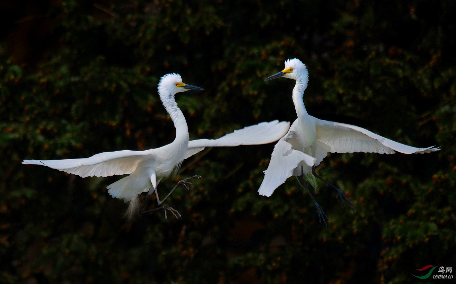 0127. 10898_һ������_�����С��-��ʵҰ������.jpg