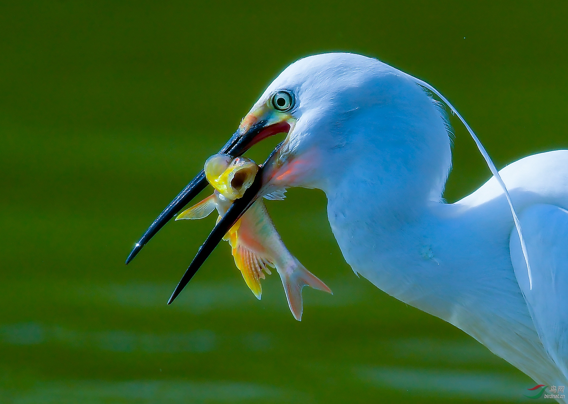 0270. 11265_�ź�_����110��ʵҰ������.jpg