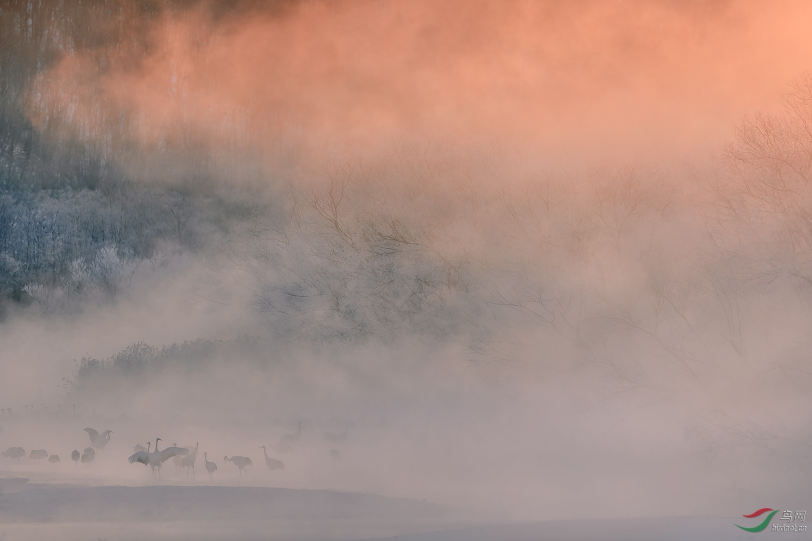 0601. 12053_�˼��ɾ�_��ʵҰ������.jpg