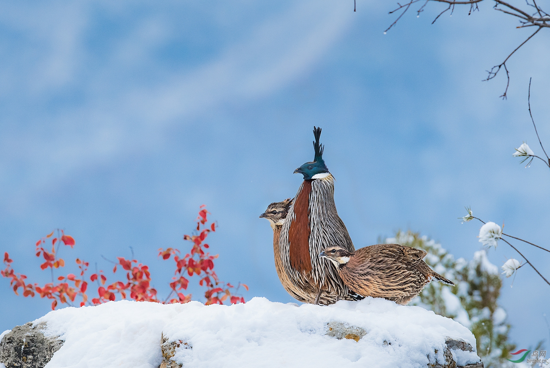 0895.�׼� ��ǿ 13903471888.jpg