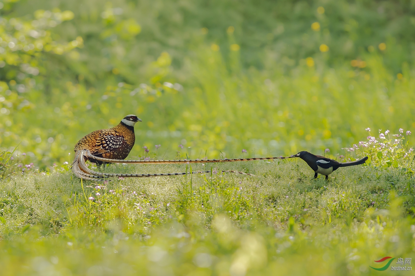 1180.Ϸβ���� B2 .jpg