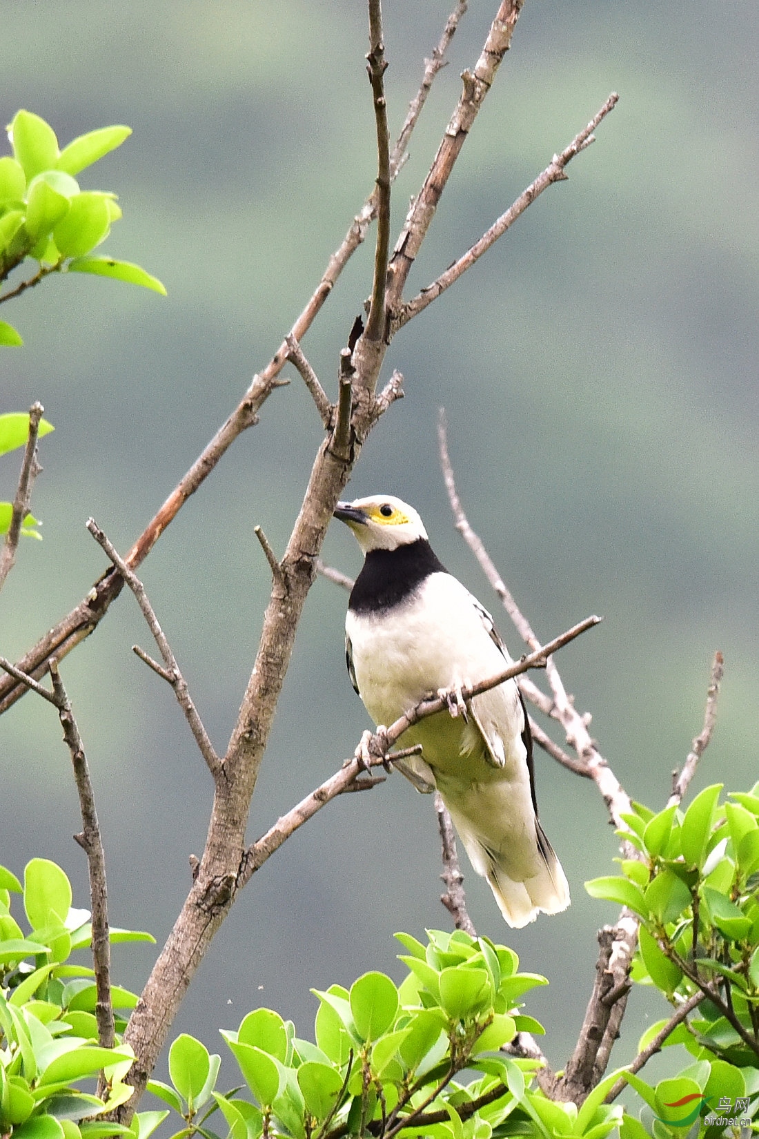 DSC_0380.JPG